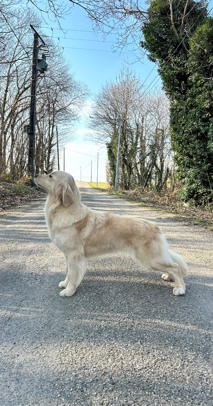 Tina Du Domaine Augiors